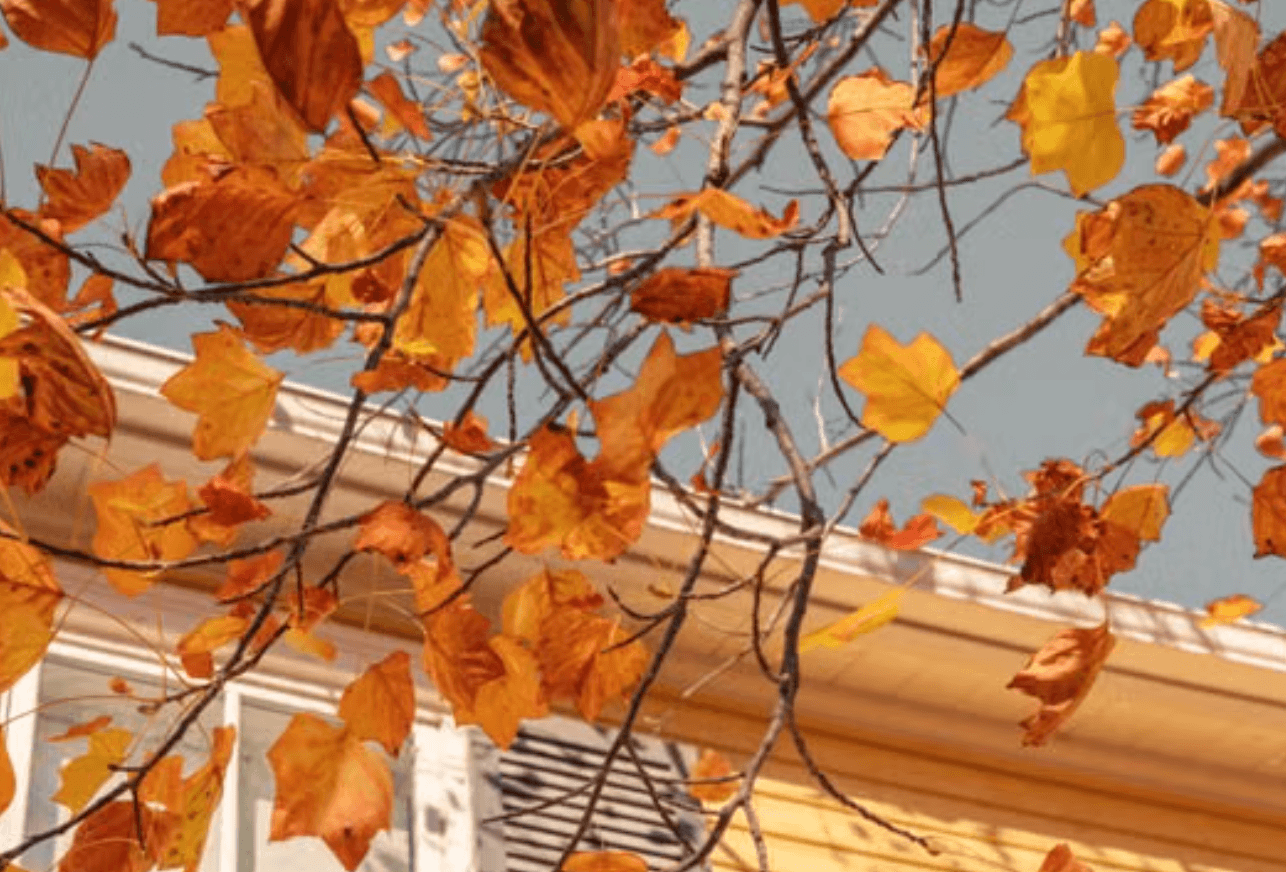 Fall Mortgage Refinance Preparation 2026